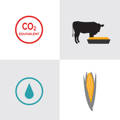 beef_factvsmyth Beef Sustainability Facts